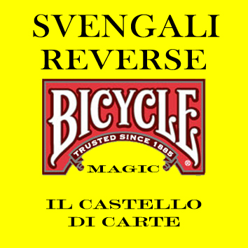 adesivo bicycle SVENGALI REVERSE